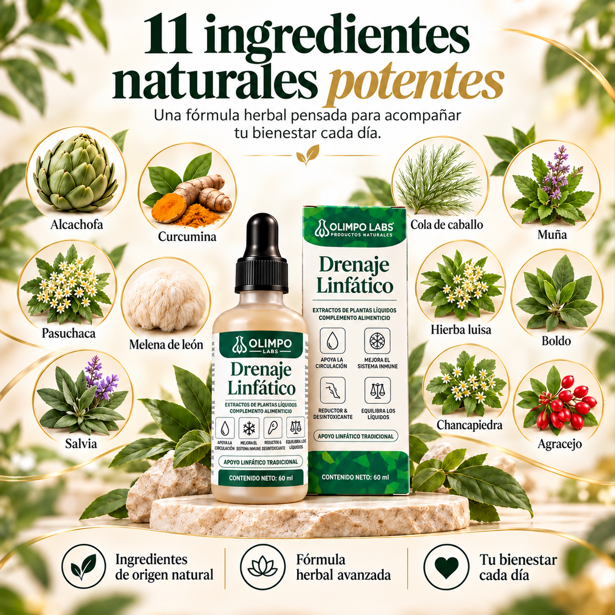 DESHINCHA ROSTRO, ABDOMEN Y PIERNAS. SIÉNTETE MÁS LIGERA