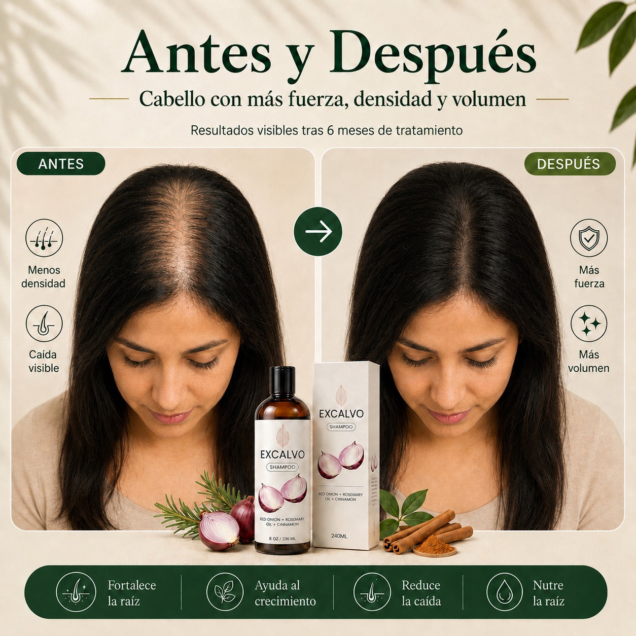 Frena la caida desde la raiz con EXCALVO Shampoo USA